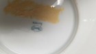 Thomas Bavaria China 6" Plate Scalloped THO33855C — photo 3