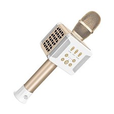 016 Karaoke Microphone for Adults/Singer 20W Bluetooth Bass Sing