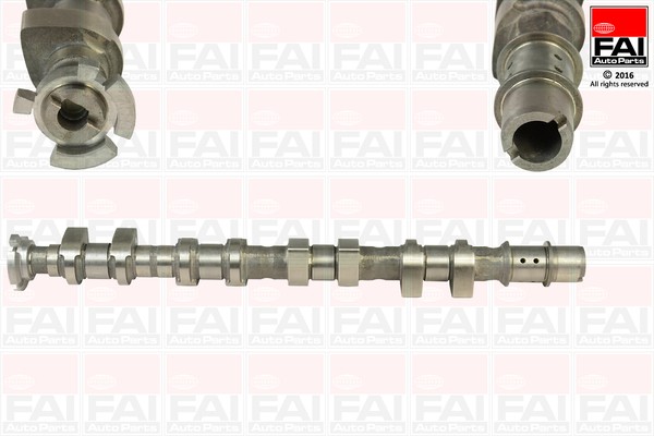 FAI AutoParts C365 Camshaft for Chevrolet, Opel, Vauxhall