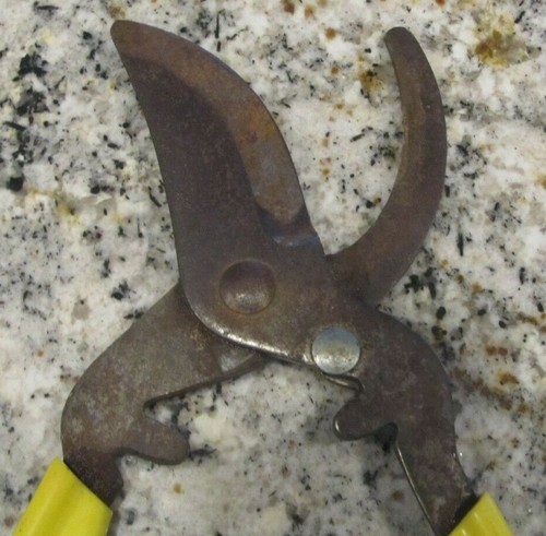 Vintage Garden Greenhouse Pruners Clippers Shears Snips Hand Tool Yellow Grips - Picture 2 of 4