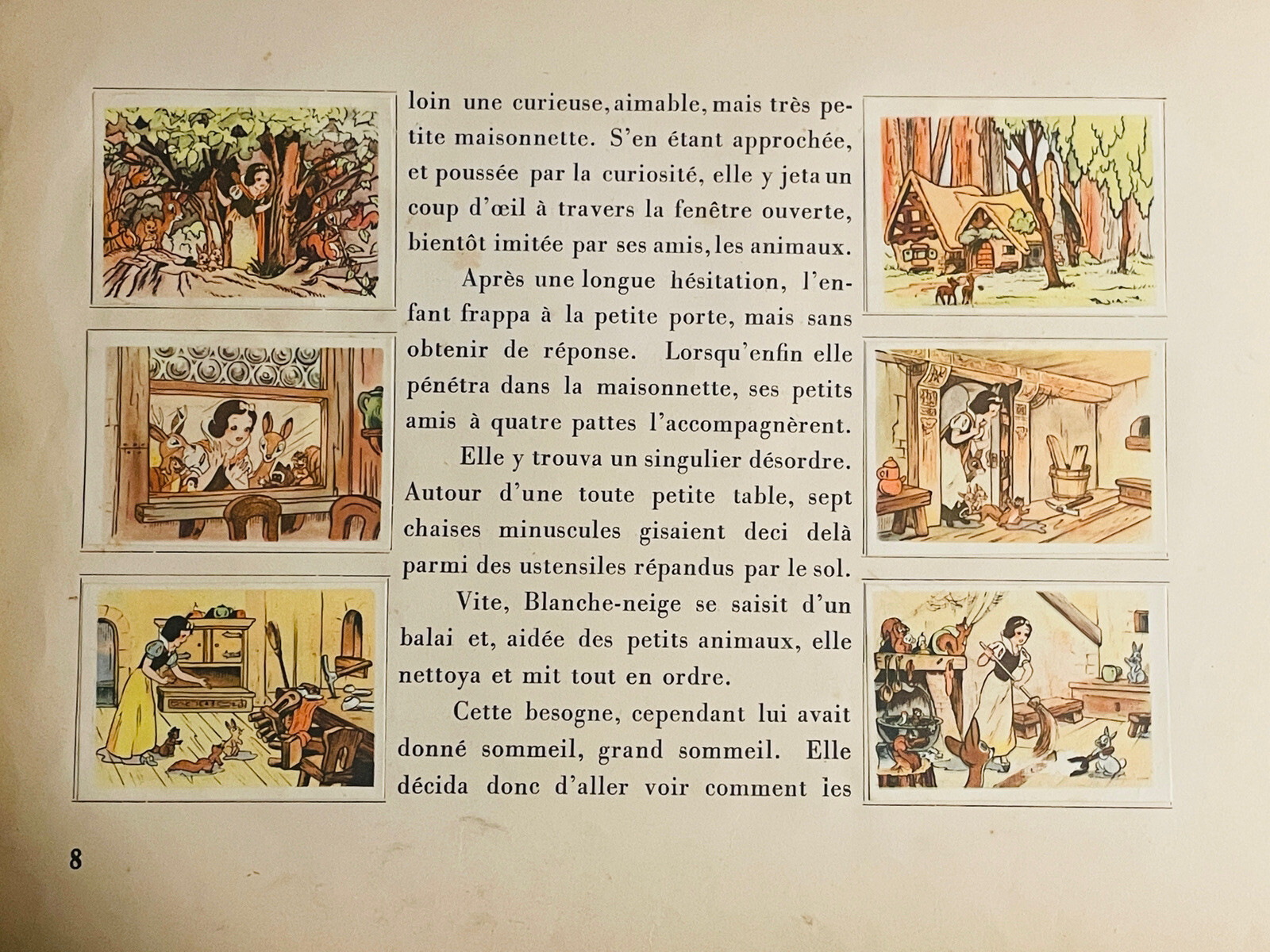 Imagen 8 de 19