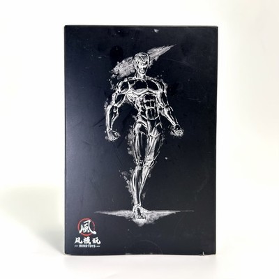 Fremego 1/12 Male Action Figure Body 6in Muscular