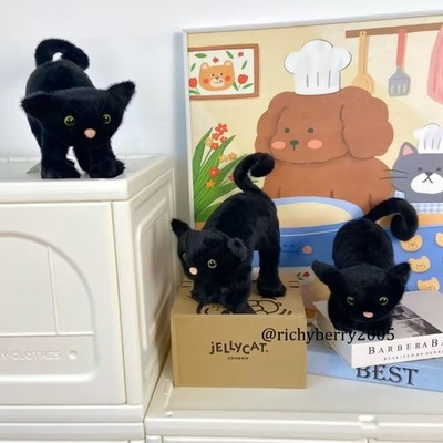 JELLYCAT Spookipaws Cat 2025 - Halloween Collectible Plush BNWT