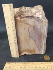 8.4 LB NV Wonderstone Banded Rhyolite Jasper Lapidary Rough Display - Flawless — photo 4