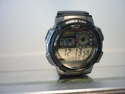 casio 3198 3299