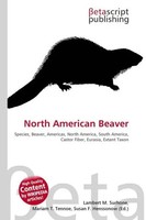 Lambert M. Surhone (U. A.) | North American Beaver | Taschenbuch | Englisch