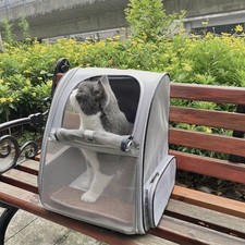 Foldable Breathable Pet Carrier Backpack, Ventilation Design With Safety Strap