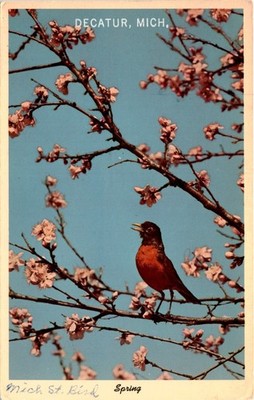 Decatur, Michigan, Bird Spring, Presco, Floris Stafford, Curt Postcard