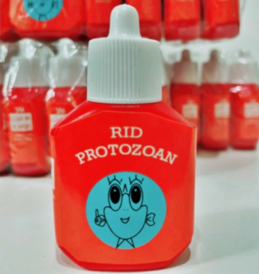 Betta Parasite Prevention: Ultimate Guide to Keep Fish Healthy