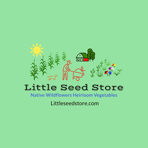 LITTLE SEED STORE | eBay Stores