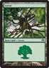 Forest 155 Planechase 2012 Light Play LP MTG Magic DNA GAMES