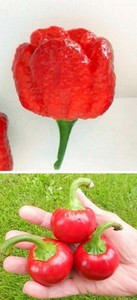 Lustige Geburtstagswunsche 49 Zum Totlachen Frech 2019