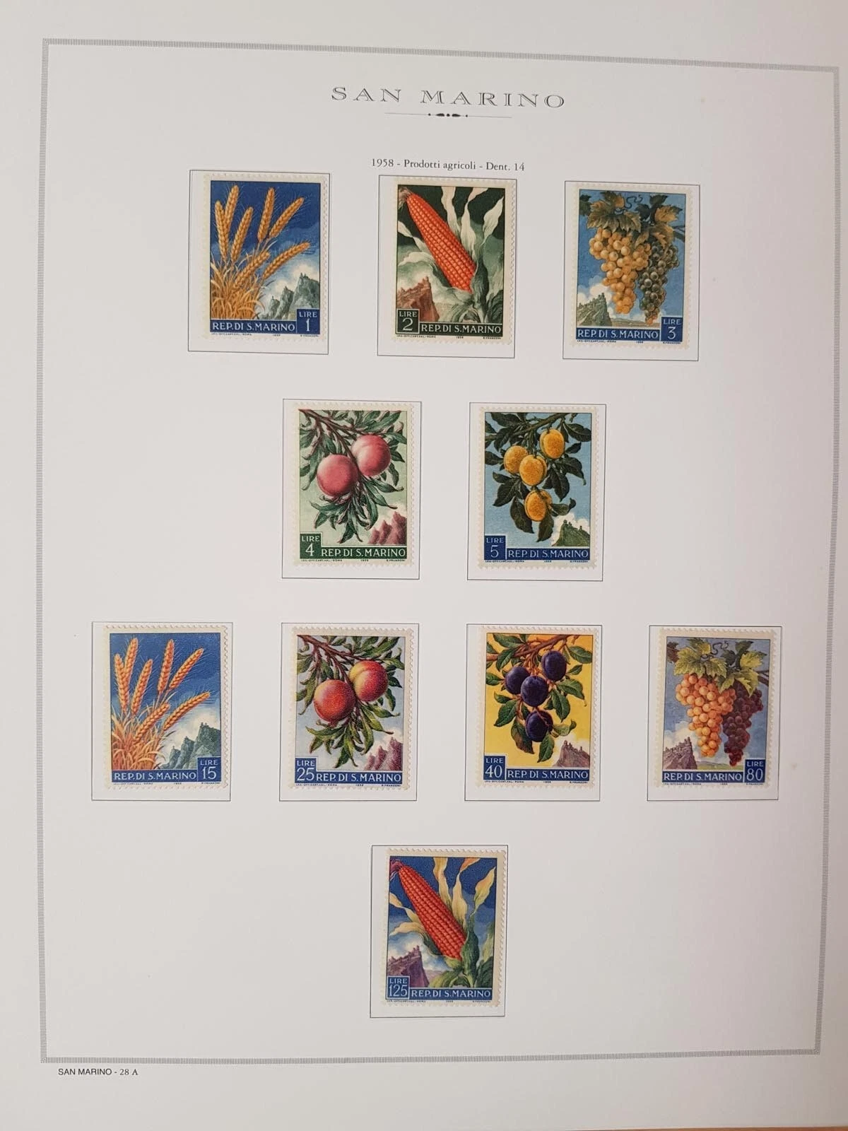 Foto 12 di 12