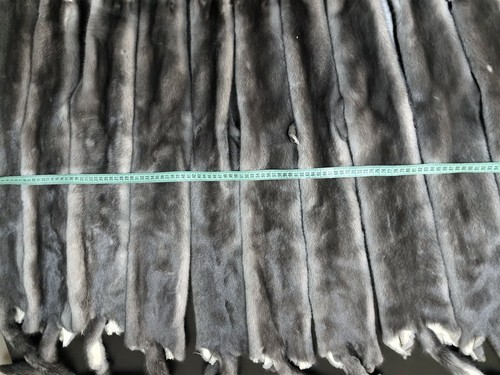 Blue iris mink pelts - Picture 6 of 10