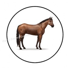 HORSE ENVELOPE SEALS LABELS STICKERS PARTY FAVORS