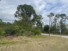Lehigh Acres, Fl land for sale -Free Callaway Golf Clubs Sets(in March)!