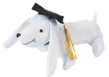 Graduation Autograph Dog Signable Stuffed Animal Plush Keepsake White Dachshund