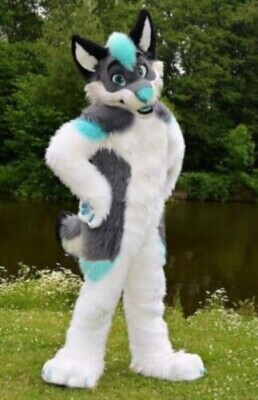 Long Fur Husky Dog Fox Mascot Costume Fursuit Halloween Suit