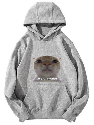  Are U Awake  Cat Meme Hoodie - Internet Meme Design Unisex Hooded Sweatshirt