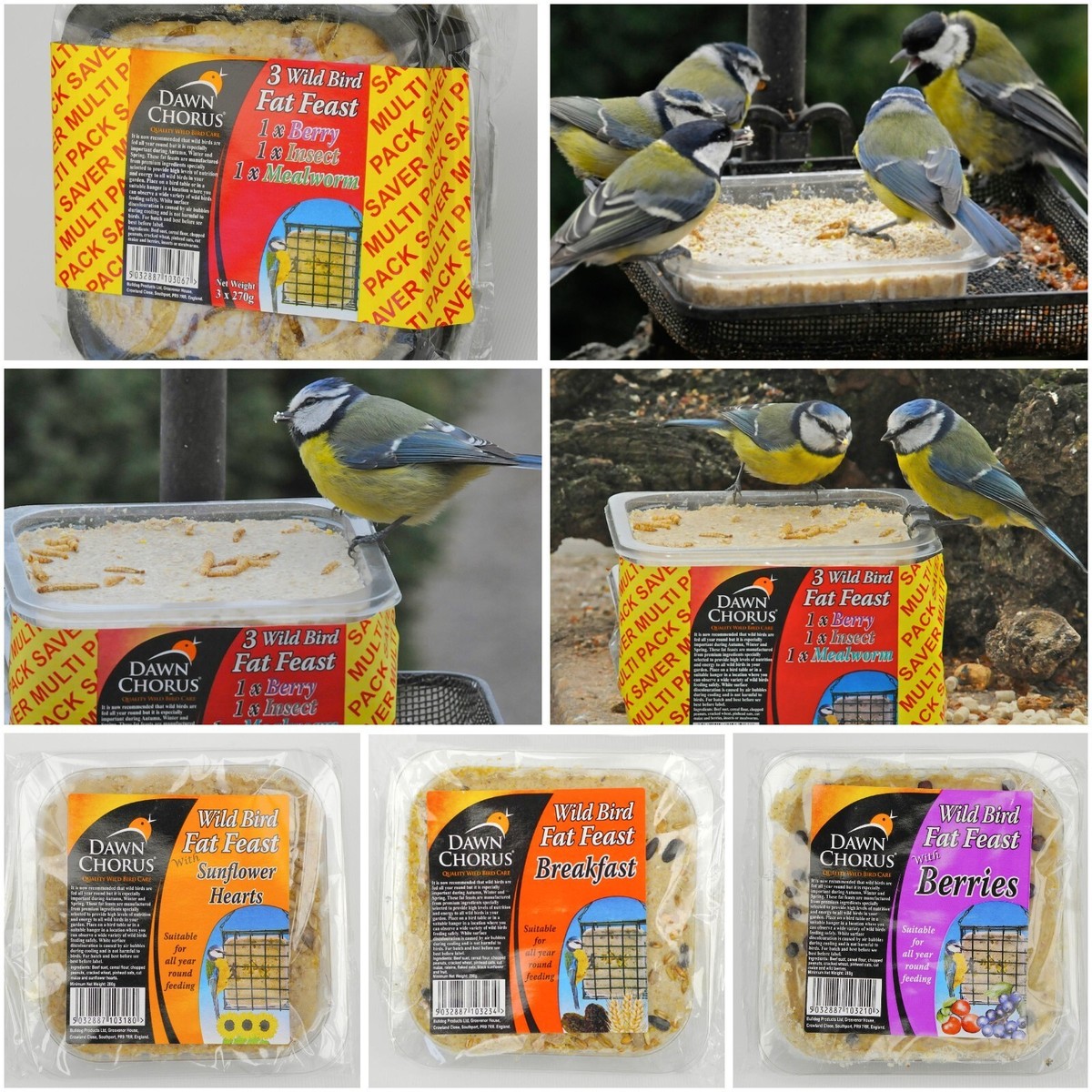 12pc Suet Cakes Fat Blocks For Wild Birds Garden Wildlife UK
