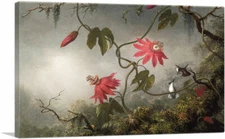 Passion Flowers and Hummingbird Canvas Art Print by Martin Johnson Heade