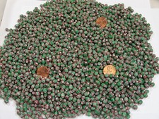 2 Pounds India Handmade 5mm x 7mm Green Chevron Glass Beads Bulk Lot IPD-6 