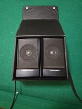 Vintage Realistic Speakers