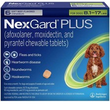 nextgard plus 8-17 small dog 6 pack