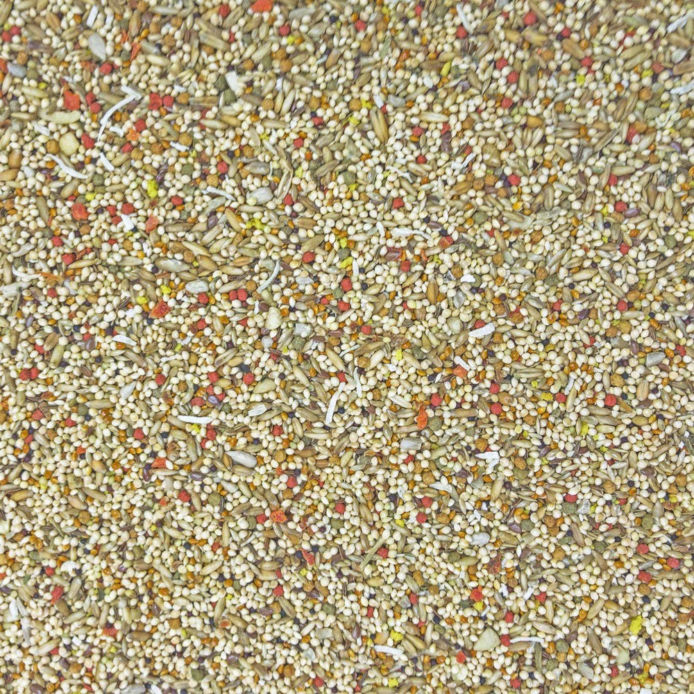 Higgins 2 Pack of Sunburst Gourmet Blend Parakeet Food, 2 Pounds Each, with P...