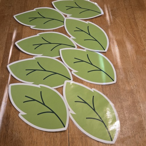 Collezione insetti stile studentessa stampati laminati usati arredo aula scuola - Foto 17 di 23