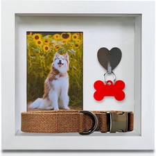 Green Pollywog Pet Memorial Shadowbox Collar, Tag Photo Keepsake