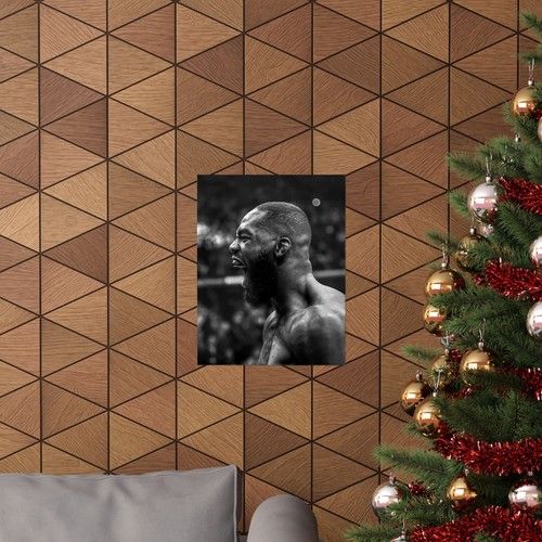 Jon Jones UFC Poster Greyscale, MMA Wall Art, Matte Vertical Print - Picture 53 of 61