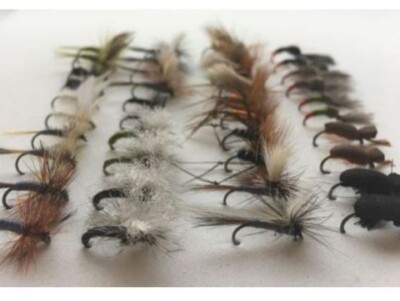 40 BARBLESS Trockenfliegenpaket - spezifische Muster, gemischte Größen, zwei von jedem Muster