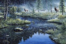 Ceramic Backsplash Tile Mural Deer Kitchen/Bathroom - Misty Morning - Jeff Tift