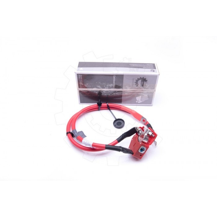 Câble de batterie 61129253111 pour BMW F21 F23 F87 en cuivre premium isolé