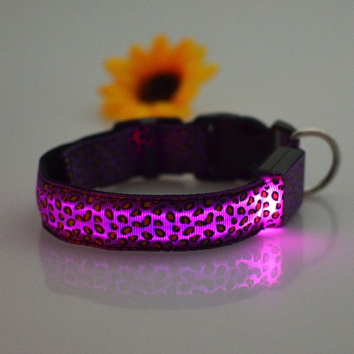 LED Glow Collar Dog Puppy Pet Flashing Light Safety Glow In The Dark FAST POST - Picture 33 of 81