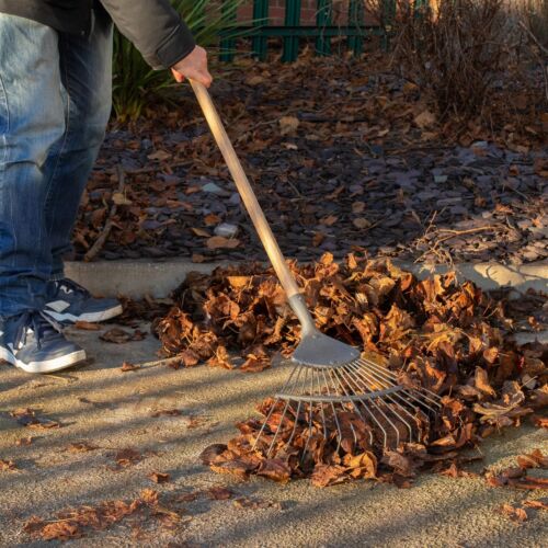 Garden Rake Head, 16 Tine/Tooth Forged Carbon Steel Lawn & Leaf Rake, Secure Fit - Picture 2 of 7