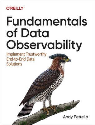Fundamentals Of Data Observability: Implement Trustworthy En...