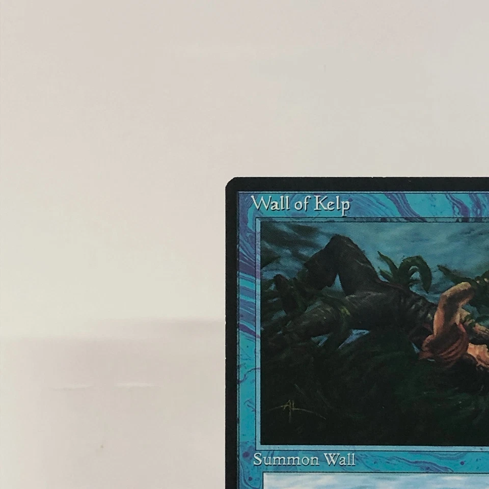 Wall of Kelp Homelands 1995 Blue Creature Wall Summon Wall MTG Vintage Japan - Image 2 of 4