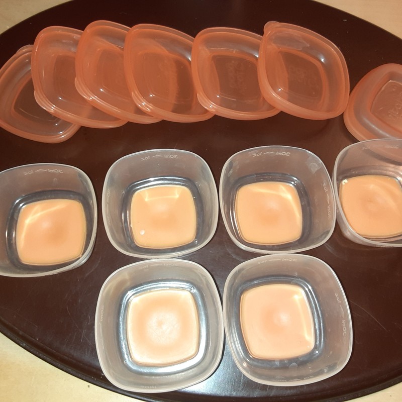 Infant Baby Toddler Feeding Vital Baby Solid Food Storage Containers Bundle lot