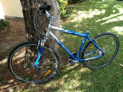 giant elwood se price