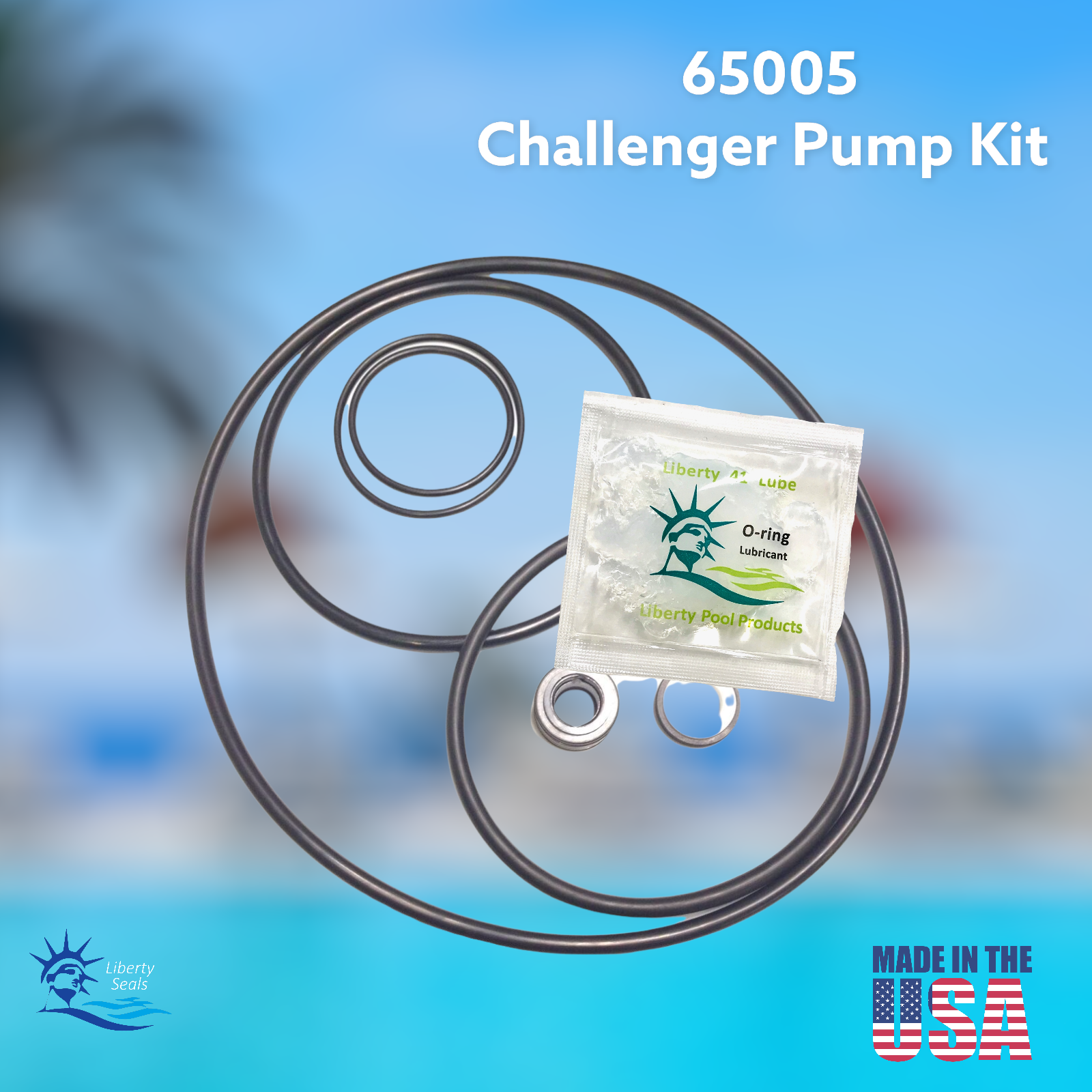Challenger Pool Pump Oring Kit By Pooltek USA 65005 Fits Pentair & Pac