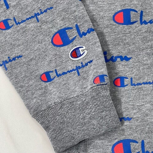 Champion Hoodie Teens Size Large Gray All Over Print Long Sleeve Pullover Logo - Picture 6 of 9