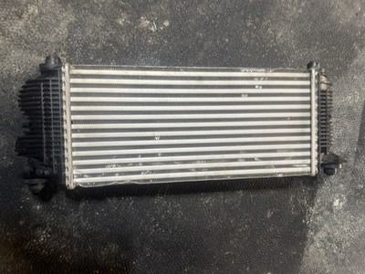 2017-2020 FORD F150 RAPTOR OEM 3.5L 4X4 TWIN TURBO ENGINE INTERCOOLER Oem 