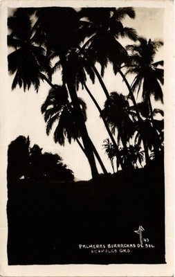 CPA Palmeras Borrachas de sol BRASILIEN (622517)