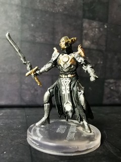Dark Justiciar Elite Warrior of Shar Adventures from Baldur's Gate D&D