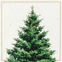 20 Servietten Fir Tree Festlich Weihnachten Christbaum Sterne Tischdeko 33X33Cm