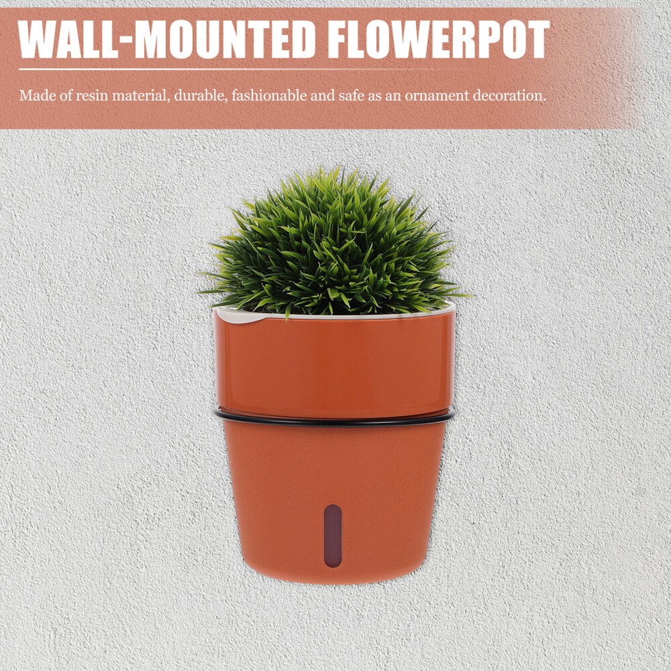 Plastic Flower Pot Wall Succulent Planters Pots Clear for Flowers eBay