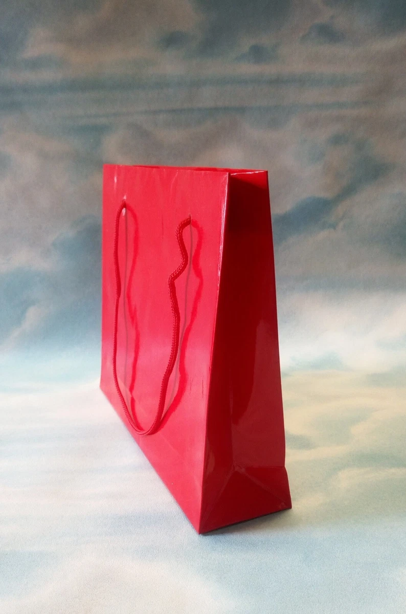 10 Sacchetti Regalo In Carta Kraft - Borse Per Bomboniere E Shopping (22x18x10 Cm)