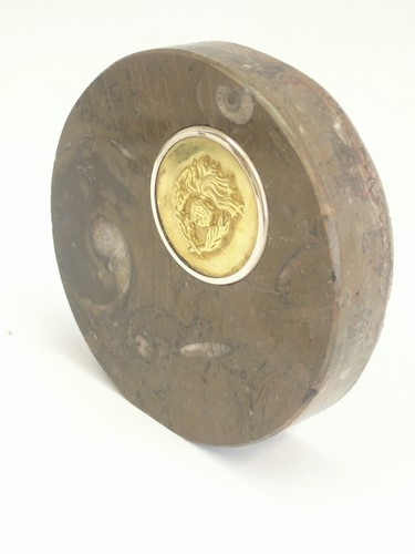 Ammonite Fossile- Associazione Nazionale Carabinieri - fermacarte - soprammobile - Imagen 3 de 9